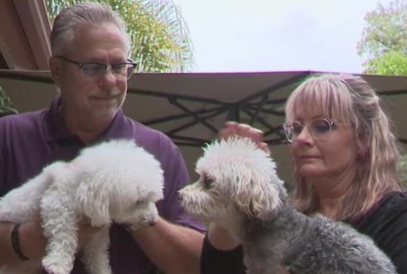 El perrito se convirtió en toda una celebridad