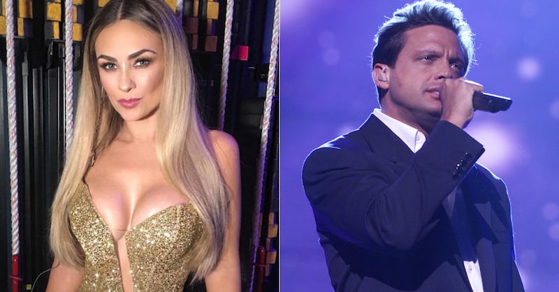 El abogado de Aracely Arámbula habría revelado información que cambiaría toda la pelea legal entre ella y Luis Miguel.